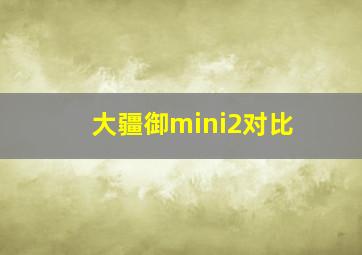 大疆御mini2对比