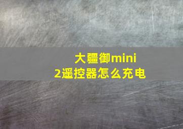 大疆御mini2遥控器怎么充电