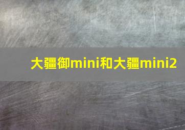 大疆御mini和大疆mini2