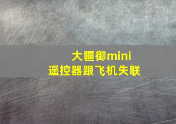 大疆御mini遥控器跟飞机失联