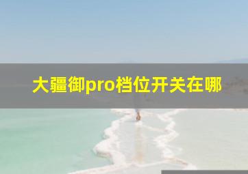 大疆御pro档位开关在哪