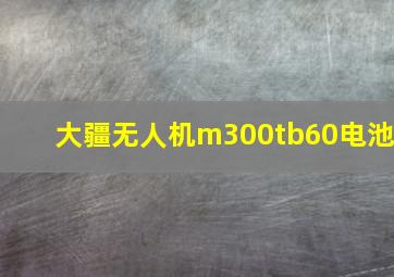 大疆无人机m300tb60电池