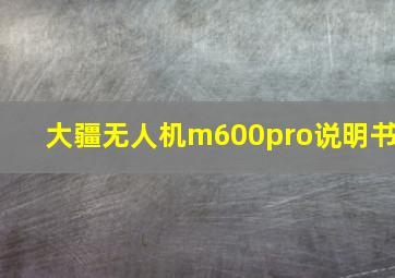 大疆无人机m600pro说明书