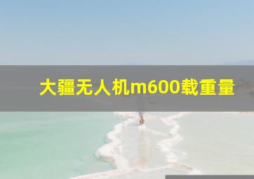 大疆无人机m600载重量