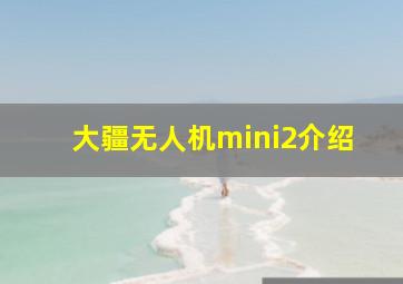 大疆无人机mini2介绍