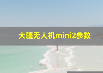 大疆无人机mini2参数