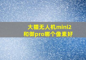 大疆无人机mini2和御pro哪个像素好