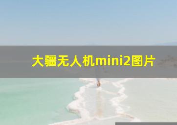 大疆无人机mini2图片