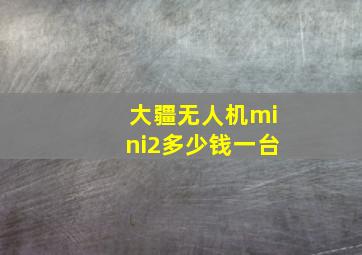 大疆无人机mini2多少钱一台