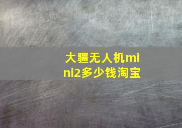 大疆无人机mini2多少钱淘宝