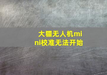 大疆无人机mini校准无法开始