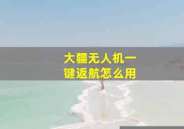 大疆无人机一键返航怎么用