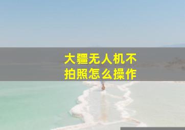 大疆无人机不拍照怎么操作