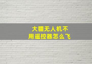 大疆无人机不用遥控器怎么飞