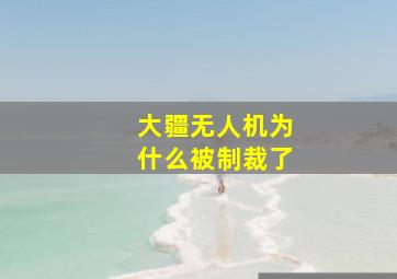 大疆无人机为什么被制裁了