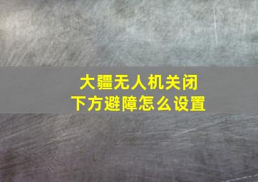 大疆无人机关闭下方避障怎么设置