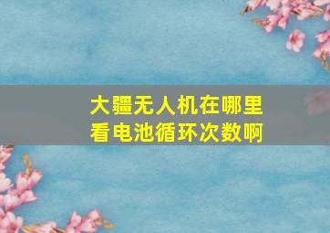 大疆无人机在哪里看电池循环次数啊