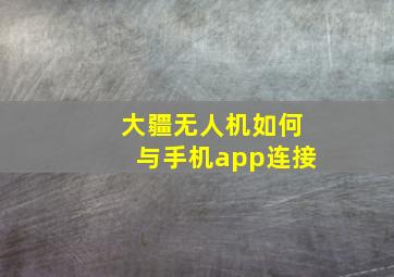 大疆无人机如何与手机app连接