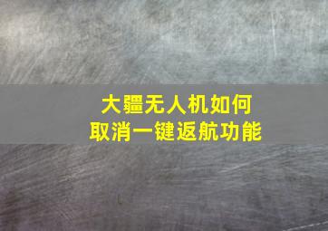 大疆无人机如何取消一键返航功能