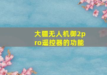 大疆无人机御2pro遥控器的功能