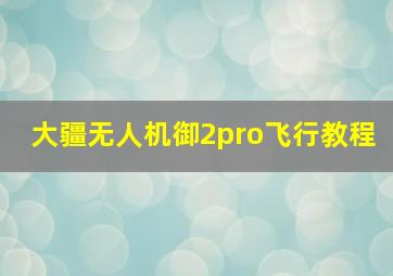 大疆无人机御2pro飞行教程