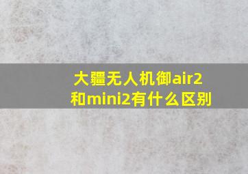 大疆无人机御air2和mini2有什么区别