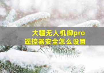 大疆无人机御pro遥控器安全怎么设置