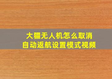 大疆无人机怎么取消自动返航设置模式视频