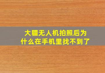 大疆无人机拍照后为什么在手机里找不到了