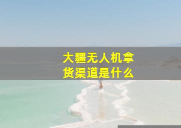 大疆无人机拿货渠道是什么