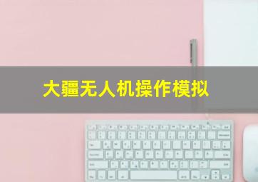 大疆无人机操作模拟