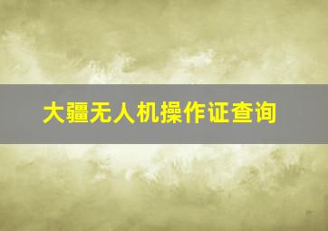 大疆无人机操作证查询