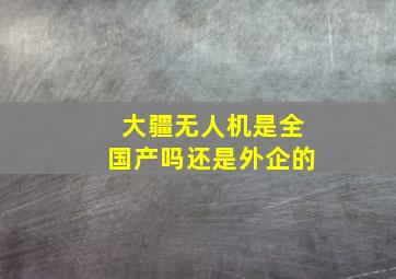 大疆无人机是全国产吗还是外企的