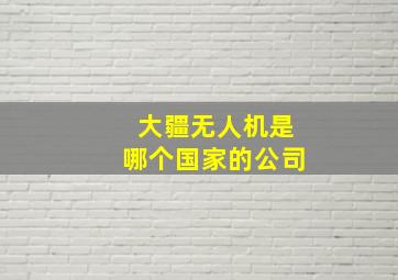 大疆无人机是哪个国家的公司