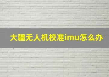 大疆无人机校准imu怎么办