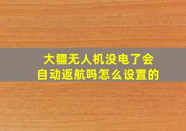 大疆无人机没电了会自动返航吗怎么设置的