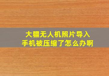 大疆无人机照片导入手机被压缩了怎么办啊