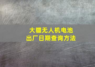 大疆无人机电池出厂日期查询方法