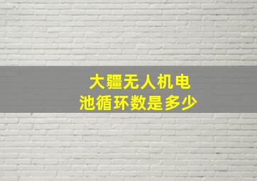 大疆无人机电池循环数是多少