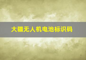 大疆无人机电池标识码