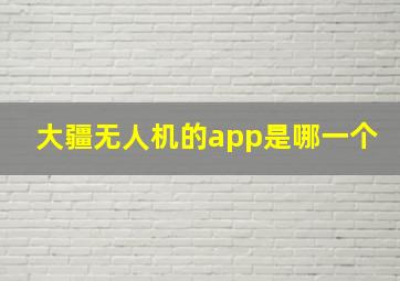 大疆无人机的app是哪一个