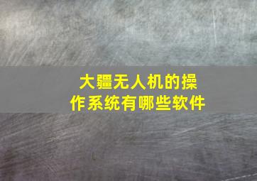 大疆无人机的操作系统有哪些软件