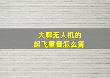 大疆无人机的起飞重量怎么算