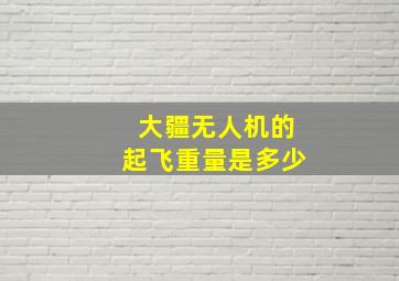 大疆无人机的起飞重量是多少