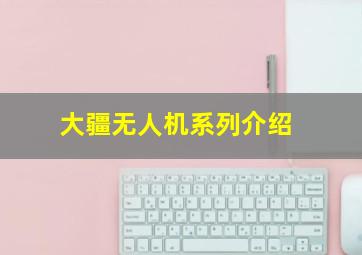 大疆无人机系列介绍