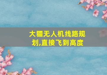 大疆无人机线路规划,直接飞到高度