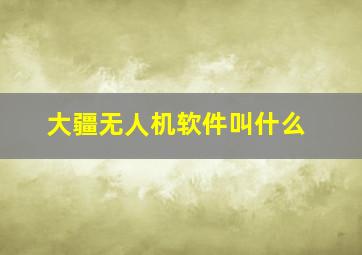 大疆无人机软件叫什么