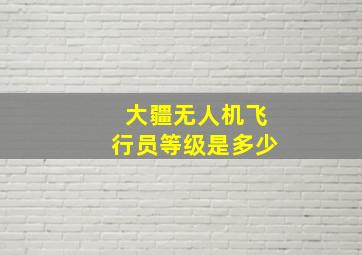 大疆无人机飞行员等级是多少