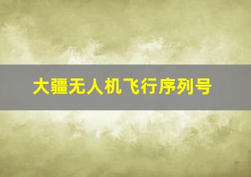 大疆无人机飞行序列号