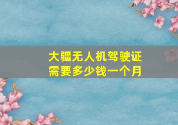 大疆无人机驾驶证需要多少钱一个月